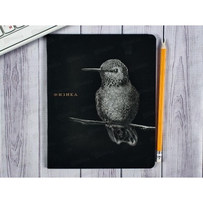 Тетрадь 48л кл. ПП &quotBLACKSOFT" Физика, 48-1740 *10/80