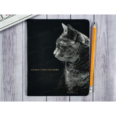 Тетрадь 48л кл. ПП &quotBLACKSOFT" Обществознание, 48-1739 *10/80