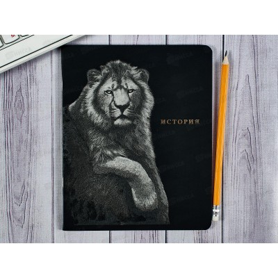 Тетрадь 48л кл. ПП &quotBLACKSOFT&quot История, 48-1735 *10/80