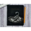 Тетрадь 48л кл. ПП "BLACKSOFT" Информатика, 48-1734 *10/80 Тетрадь 48л кл. ПП "BLACKSOFT" Информатика, 48-1734 *10/80