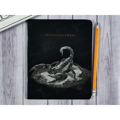 Тетрадь 48л кл. ПП &quotBLACKSOFT&quot Информатика, 48-1734 *10/80