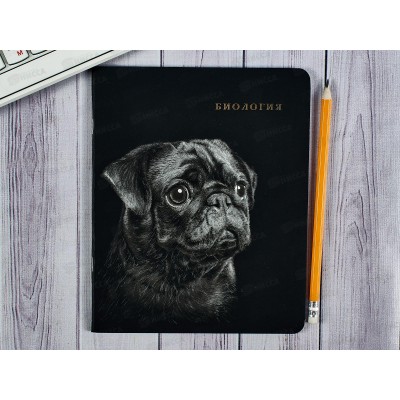 Тетрадь 48л кл. ПП &quotBLACKSOFT&quot Биология, 48-1750 *10/80