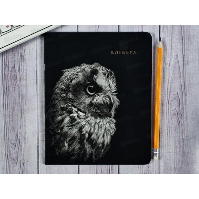 Тетрадь 48л кл. ПП &quotBLACKSOFT" Алгебра, 48-1748 *10/80