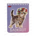 Блокнот 40л Hatber А6 Котики бывают разными *96 Блокнот 40л Hatber А6 Котики бывают разными *96