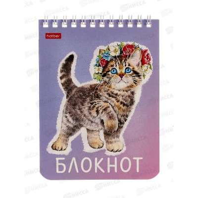 Блокнот 40л Hatber А6 Котики бывают разными *96 Блокнот 40л Hatber А6 Котики бывают разными *96