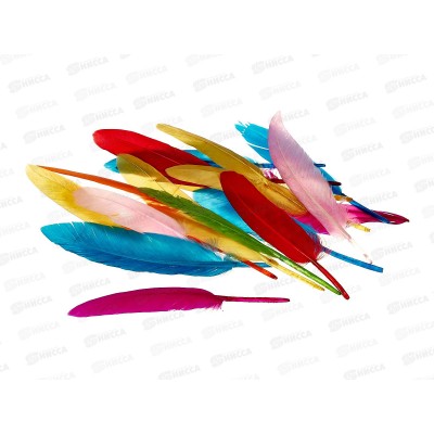 Декор материал Alingar Перья гладкие 20шт, Ассорти AL9049