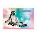 Альбом для рисования 32л SVETOCH Живи не тужи, 000217 *5/35 Альбом для рисования 32л SVETOCH Живи не тужи, 000217 *5/35
