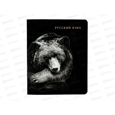 Тетрадь 48л лин. ПП &quotBLACKSOFT&quot Русский язык, 48-1743 *10/80