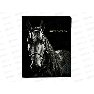 Тетрадь 48л лин. ПП &quotBLACKSOFT" Литература, 48-1742 *10/80