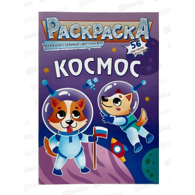 Раскраска ЛиС А5 с наклейками Космос, РНМ-608 *50