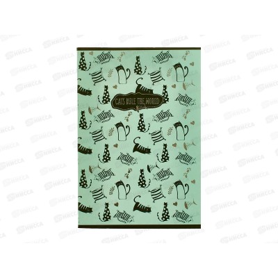 Тетрадь 48листов клетка АКАД Котовасия 13626/3- EAC*20/60