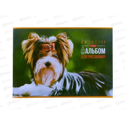 Альбом для рисования 40л Hatber Любимые питомцы,079741*7/35 Альбом для рисования 40л Hatber Любимые питомцы,079741*7/35