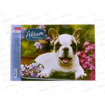 Альбом д/рис.40л Hatber Любимцы,004142 *5/35 Альбом д/рис.40л Hatber Любимцы,004142 *5/35