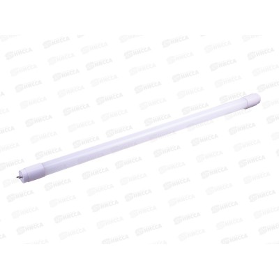 Лампа светодиодная ФАZA FLL T8-600 10w 6500K G13   *25