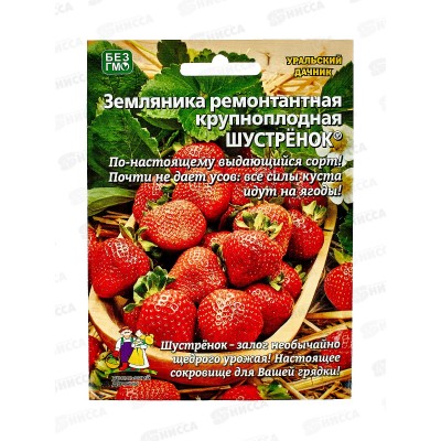 Земляника Шустренок ремонтантная  Евро *10 УрД +