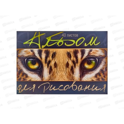 Альбом для рисования 40л ПЗБМ Взгляд,046103 *30 Альбом для рисования 40л ПЗБМ Взгляд,046103 *30