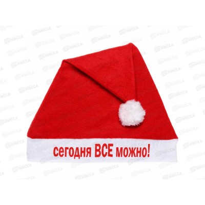 Колпак "Сегодня ВСЁ можно" 29*37см 987-256 Колпак "Сегодня ВСЁ можно" 29*37см 987-256
