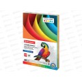 Бумага ксероксная P80 250л А4 интенс.5цв,112464 *5 Бумага ксероксная P80 250л А4 интенс.5цв,112464 *5