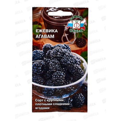 Ежевика Агавам (Евро, 0,05) *10 СеДек + Ежевика Агавам (Евро, 0,05) *10 СеДек +
