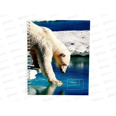 Тетрадь 80листов линия ЭКСМ А5 Дикие животные, греб., ТСЛ808563 *6/60 Тетрадь 80листов линия ЭКСМ А5 Дикие животные, греб., ТСЛ808563 *6/60