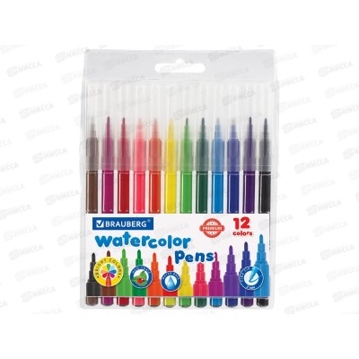 Фломастеры 12 цветов BRAU классические premium,151934*24 Фломастеры 12 цветов BRAU классические premium,151934*24
