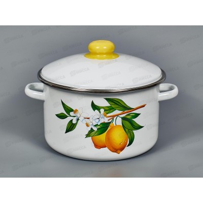 Кастрюля 4,0л эмалированная с рисунком 01-Б1614/4 Лимоны *4 Кастрюля 4,0л эмалированная с рисунком 01-Б1614/4 Лимоны *4