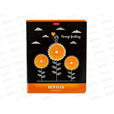 Тетрадь 48листов клетка Hatber Апельсиновые мечты 082807*10/100 Тетрадь 48листов клетка Hatber Апельсиновые мечты 082807*10/100