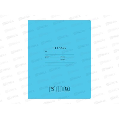 Тетрадь 12листов клетка BG Отличная, асс.,11754*10/160