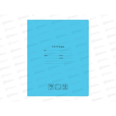 Тетрадь 12листов в косую линию BG Отличная 11759*16/160