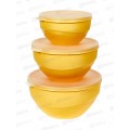 Набор мисок "Фреш" 3шт с крышкой С69658 *8 Набор мисок "Фреш" 3шт с крышкой С69658 *8