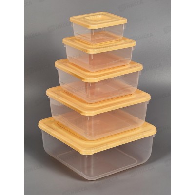 Набор контейнеров &quotПрактик&quot 5шт С88752 *18