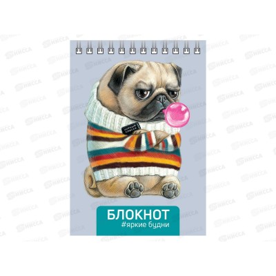 Блокнот 80листов ФЕН А6 Мопс, офс., лак.,64306 *5