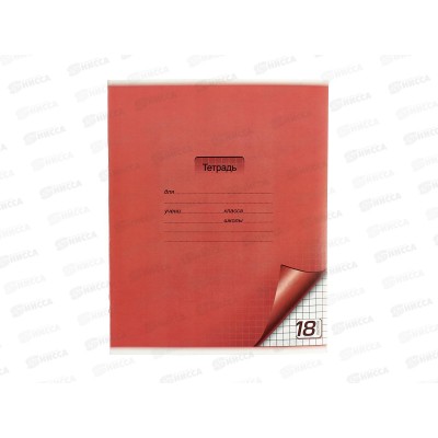 Тетрадь 18листов клетка ПЗБМ  019871 цветная с уголком офисная2*210*10/200