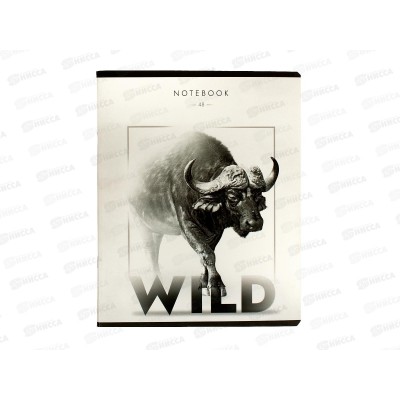 Тетрадь 48листов клетка ПЗБМ Дикий зверь,024956*5/50 Тетрадь 48листов клетка ПЗБМ Дикий зверь,024956*5/50