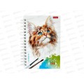 Записная книжка Hatber А6 80листов Рыжий котик 29844 *144 Записная книжка Hatber А6 80листов Рыжий котик 29844 *144