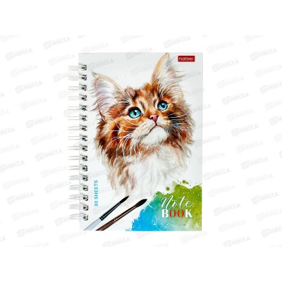 Записная книжка Hatber А6 80листов Рыжий котик 29844 *144
