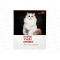 Тетрадь 48листов клетка  Hatber Котоюмор офс.  *5/60