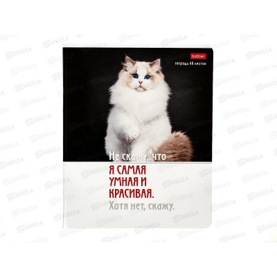 Тетрадь 48листов клетка  Hatber Котоюмор офс.  *5/60