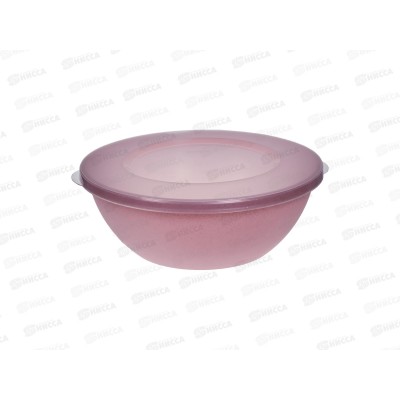 Миска 5л "Plast Team" с крышкой клубничное пралине РТ107611594 Миска 5л "Plast Team" с крышкой клубничное пралине РТ107611594