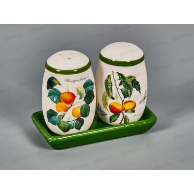 Набор для специй "Fruit Garden" 2пр. 11*6*8,5см, L2521143 *72 Набор для специй "Fruit Garden" 2пр. 11*6*8,5см, L2521143 *72