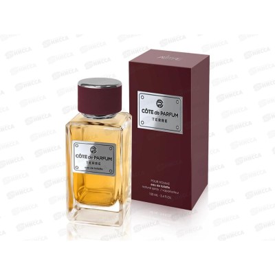 Cote De Parfum TERRE, парфюмированная вода 100мл мужская  M
