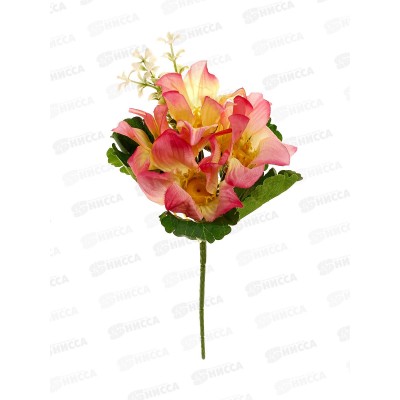 Букет 23см Георгинчики микс  4128 *5