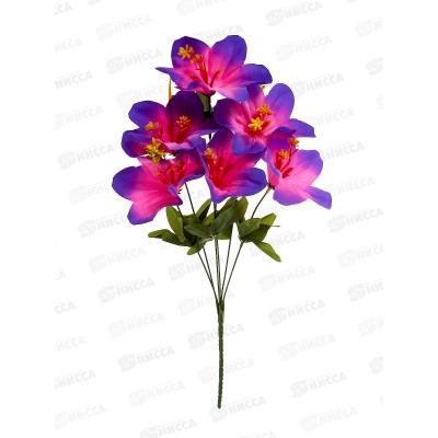 Букет 50см 6голов №310  80057 *4  Б