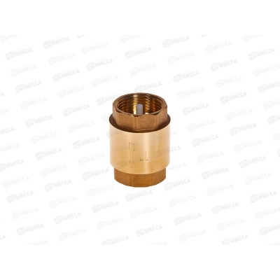 Обратный клапан 1" пластиковый сердечник PROFLINE 41575