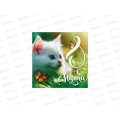 Блокнот 16л "Котенок" 10*10см 10018401 Блокнот 16л "Котенок" 10*10см 10018401