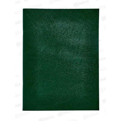 Тетрадь 96листов клетка  BG А4 б/в, зел.,12339 *30 Тетрадь 96листов клетка  BG А4 б/в, зел.,12339 *30