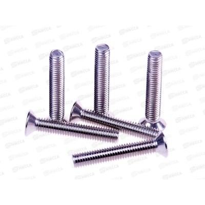 Винт (DIN965) А2 5*30 (6шт) Госкреп *10 Винт (DIN965) А2 5*30 (6шт) Госкреп *10