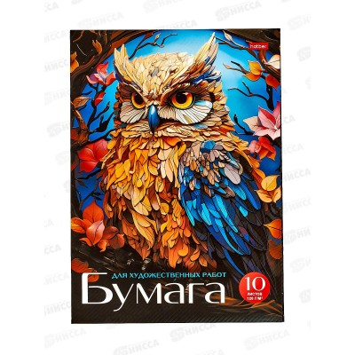 Папка для рисования и худ.работ А4 10л Hatber Мудрая сова,31102 Папка для рисования и худ.работ А4 10л Hatber Мудрая сова,31102