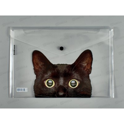 Папка-конверт пл. на кнопке EK Hiding 61155*12 Папка-конверт пл. на кнопке EK Hiding 61155*12