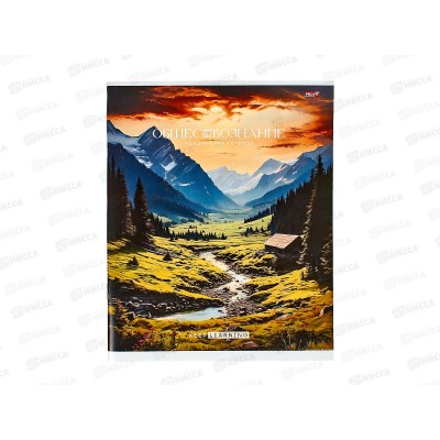 Тетрадь 36листов клетка  Profit &quotГармония&quot Обществознание, эконом, Т36-1560 *80